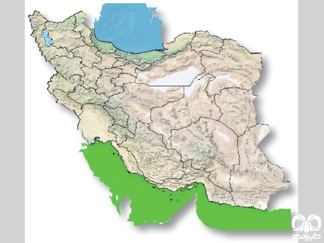 مار دریایی حلقه دار در ایران