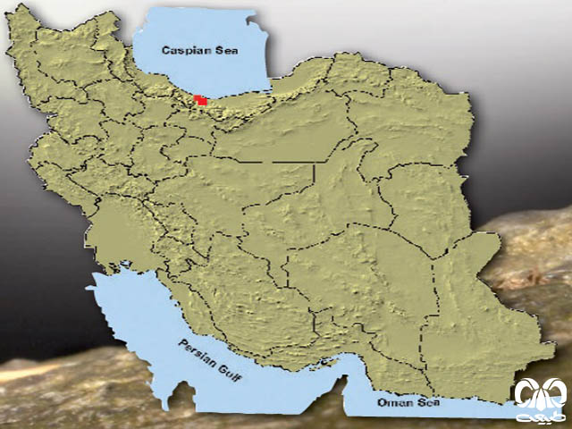 خفاش سروتین شمالی در ایران