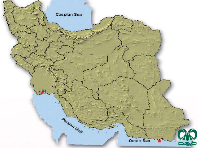 وال گوژپشت در ایران