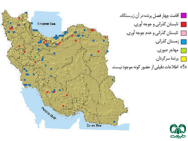گونه بالابان در ایران