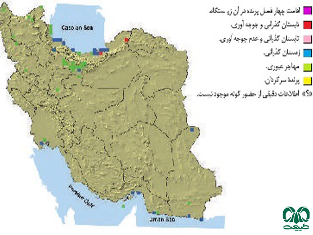 بحری در ایران