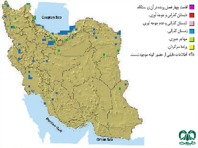 پراکندگی گونه ترمتای