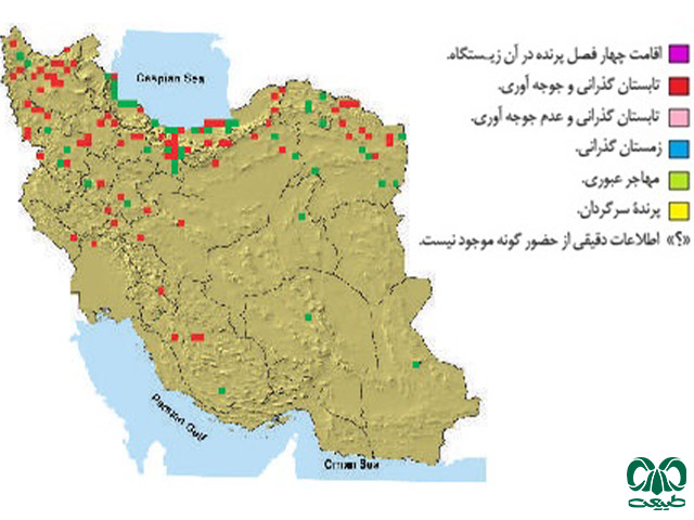 لیل در ایران