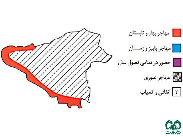 لیل در تهران