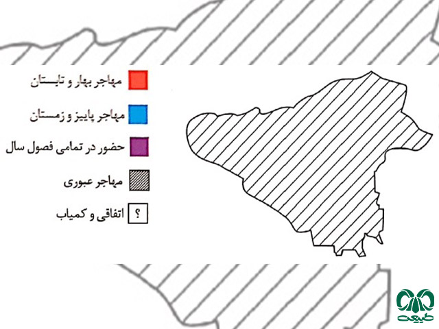 پراکندگی در تهران