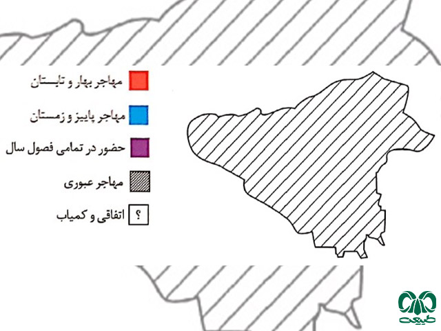 نقشه پراکنش