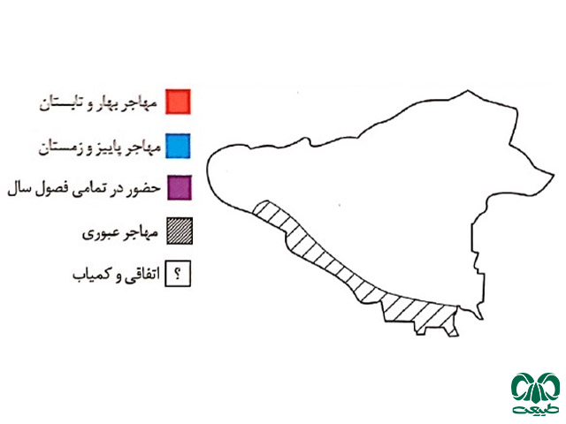 پراکندگی گونه عقاب