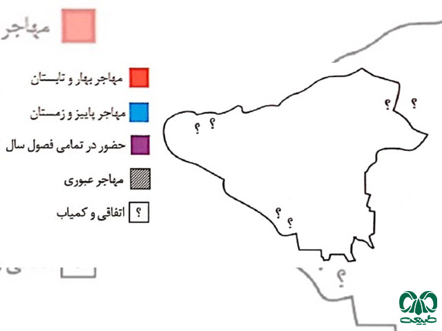 پراکنش عقاب دو برادر