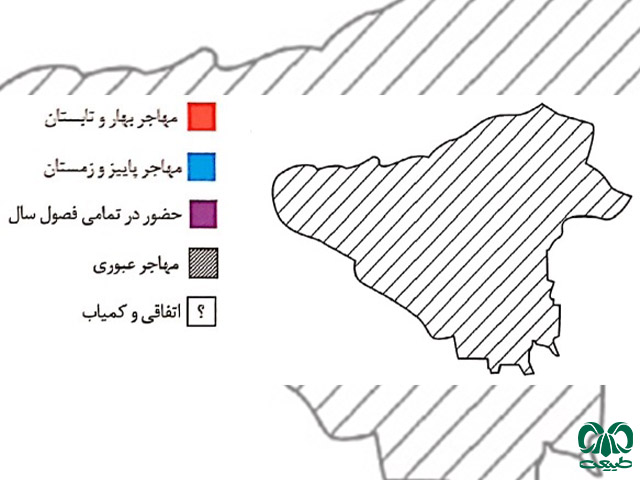 نقشه پراکندگی