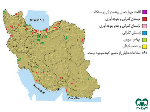  عقاب مار خور در ایران