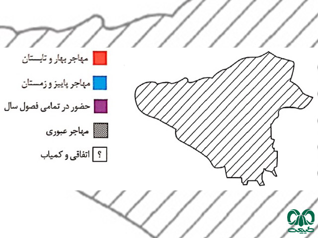 پراکنش پرنده