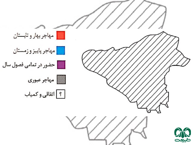 پراکنش سارگپه