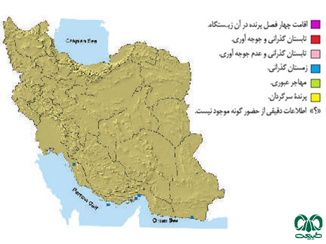 سارگپه تاجدار در ایران