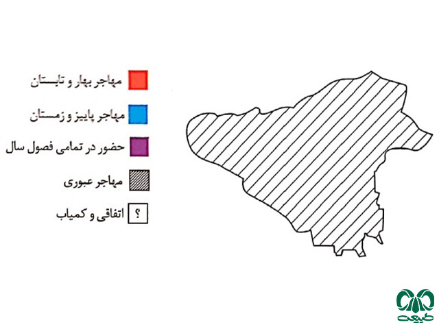 نقشه پراکنش