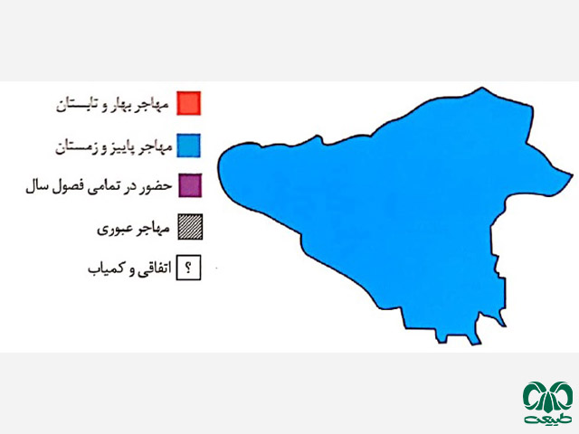 پراکنش در تهران