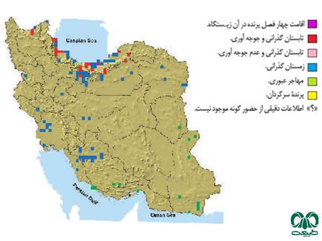 قرقی در ایران