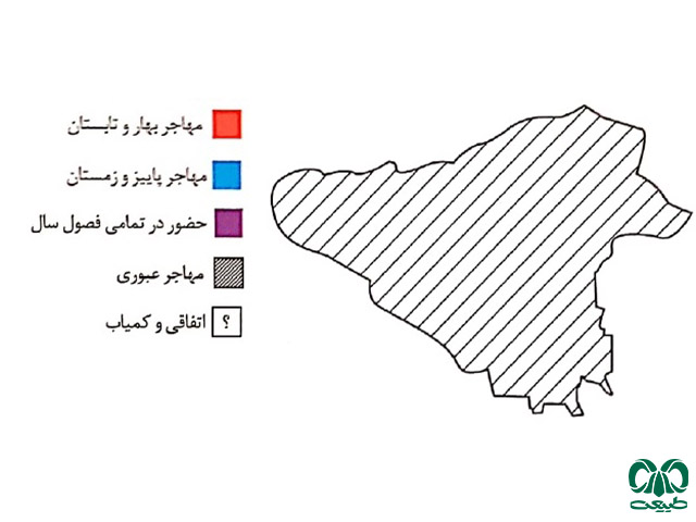 پراکنش پیغو