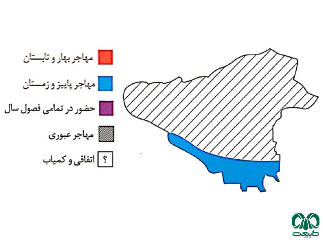 نقشه پراکنش