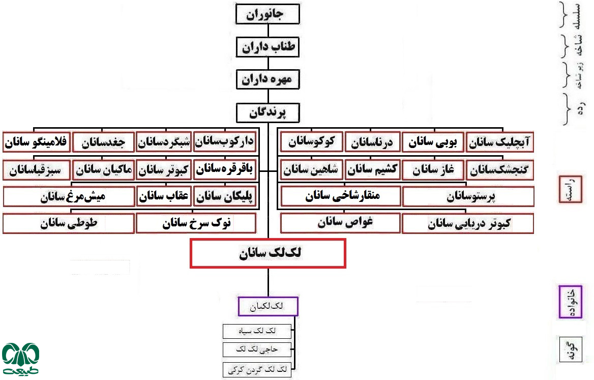 خانواده لک‌لکیان