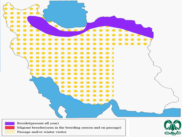 Distribution and abundance