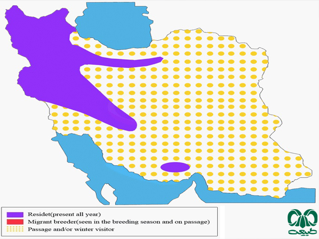 Distribution and abundance