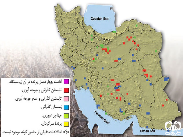 هوبره در ایران