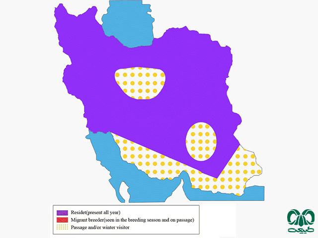 Distribution and abundance