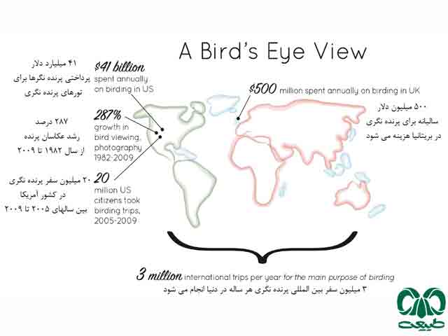 آشنایی با پرنده نگری