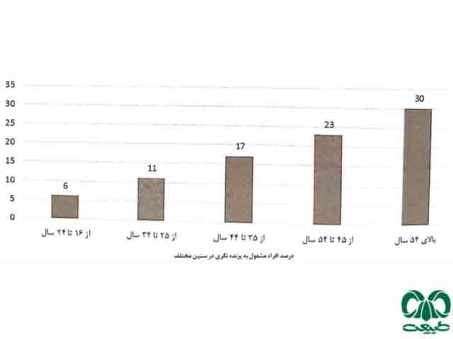 آشنایی با پرندگان