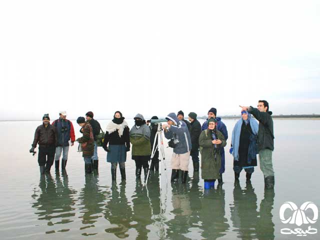 پوشش مناسب جهت پرنده نگری آشنایی با پرنده نگری