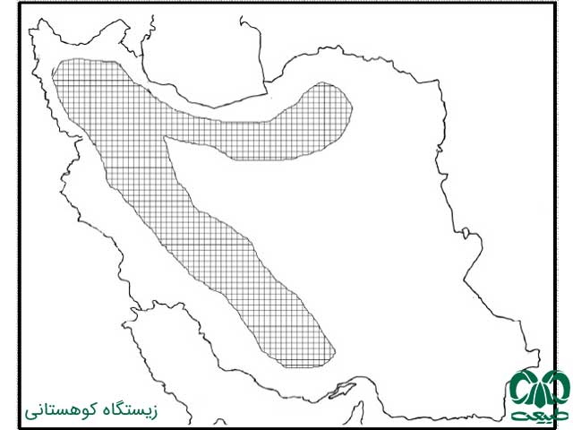 آشنایی با پرندگان ایران