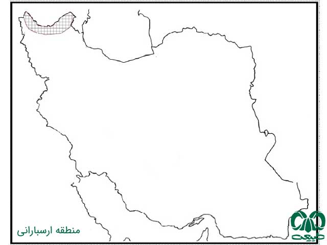 آشنایی با پرندگان ایران