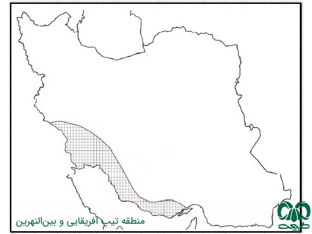 آشنایی با پرندگان ایران