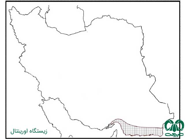 آشنایی با پرندگان ایران