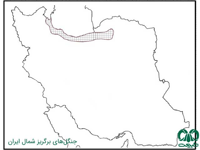 آشنایی با پرندگان 