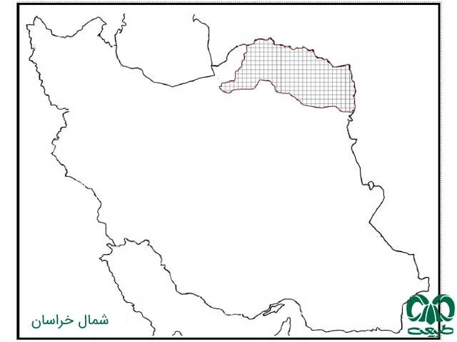 زیستگاه پرندگان