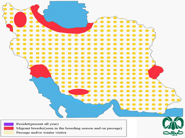 Distribution and abundance