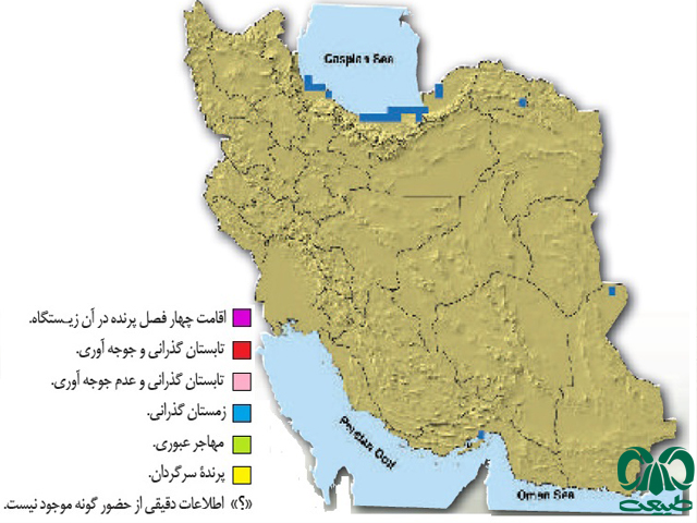 کشیم گوشدار در ایران