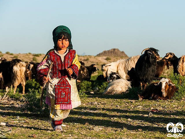 عشایر بلوچ