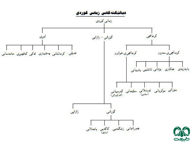 زبان کردی