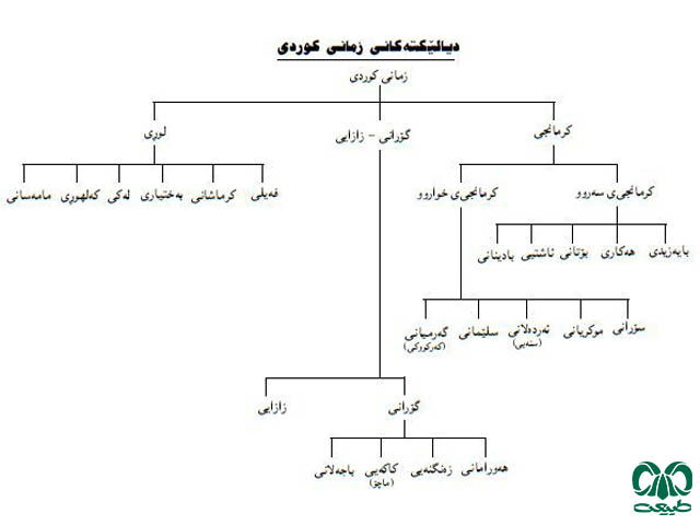 زبان کردی از گویشهای پارسی میانه زبان کردی