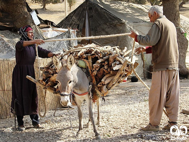 قدرت کوچنشینان