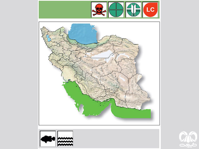 مار دریایی افعی شکل در ایران