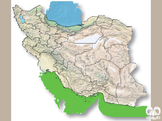 مار دریایی خلیج فارس در ایران