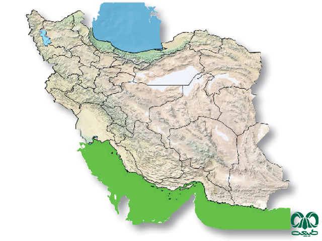 مار دریایی زرد در ایران