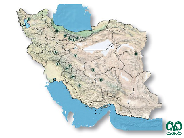 مار کرمی‌شکل اوراسیا در ایران