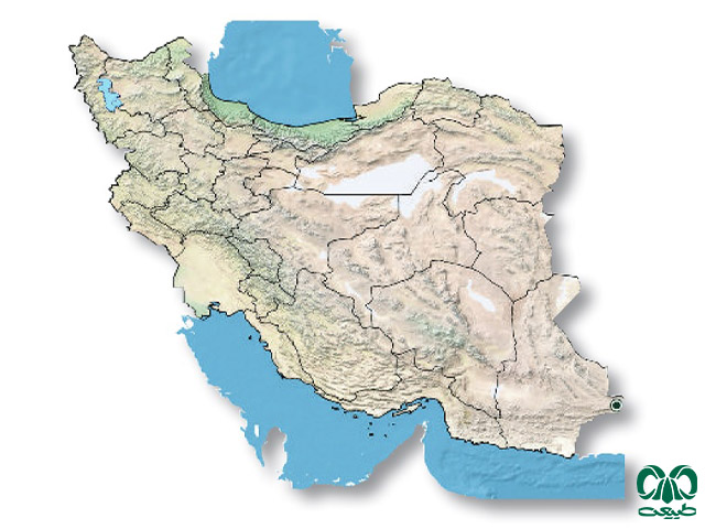 کورمار بلوچستانی