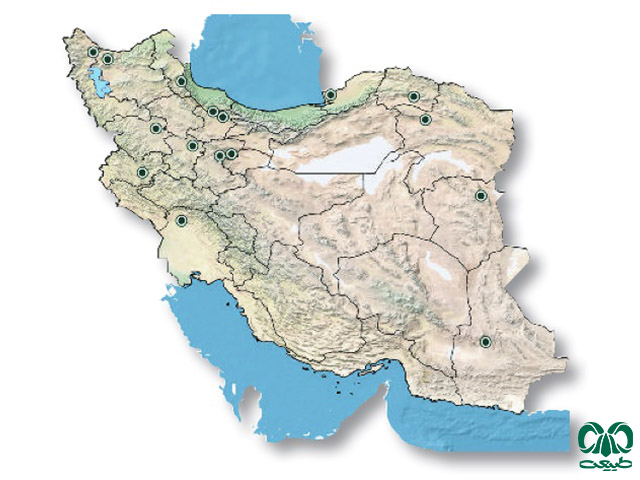 کورمار تاتاری در ایران