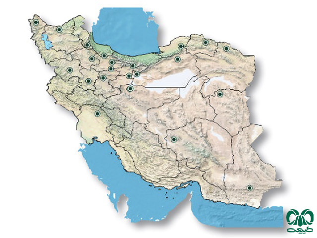 کور مار معمولی در ایران