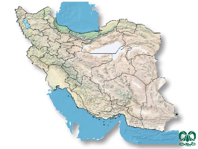 کک مار در ایران